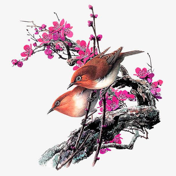 玫红色清新花鸟装饰图案