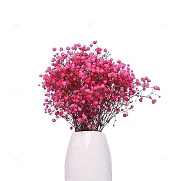 干花艺术品装饰