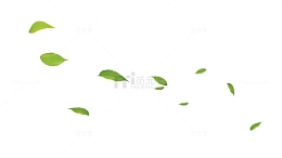 流动的绿叶
