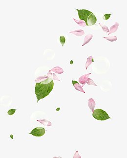 花瓣