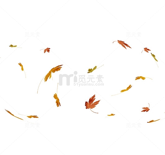 漂浮的落叶