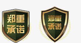 盾牌风格郑重承诺矢量图