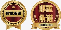 华丽郑重承诺矢量图