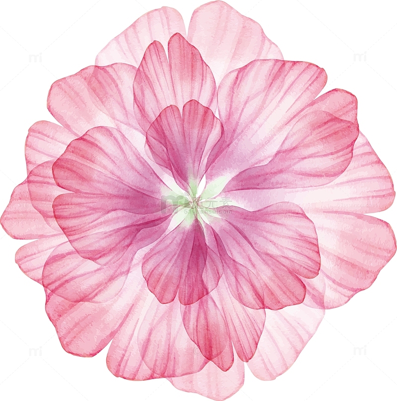 淡粉色花卉矢量图