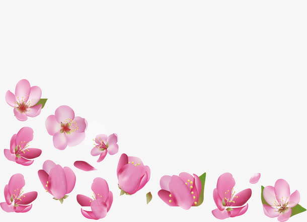 樱花花瓣背景素材免费下载_觅元素