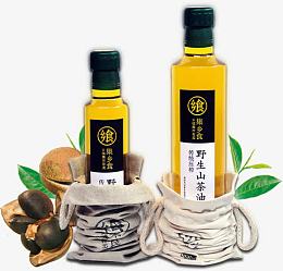 茶油 茶树 茶果