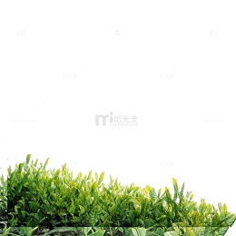 找好的茶叶