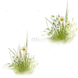 草地草坪绿草