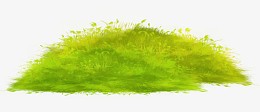 手绘绿色草丛