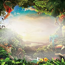 幻境