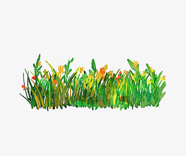 绿色水彩手绘草丛