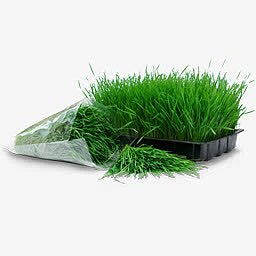 麦草托盘图标包