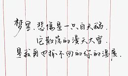 一段话钢笔字