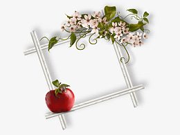 苹果装饰相框