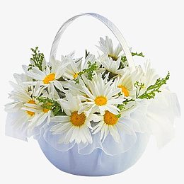 白色野菊花篮