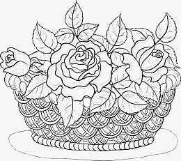素描花篮