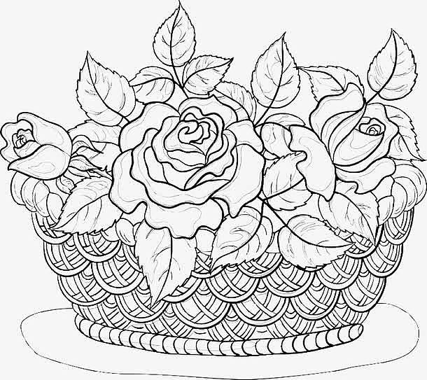 素描花篮