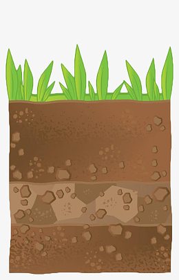 png水果饮料素材aipngpng心脏血管医疗图片pngpng泥土,横截面,剖面