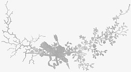 布料纹理手绘花纹