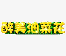 醉美油菜花