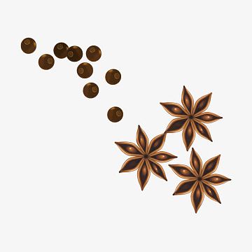 矢量手绘香料png八角花瓣png矢量食品作料一组png矢量卡通八角鱼png