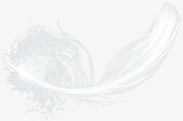 漂浮白色羽毛