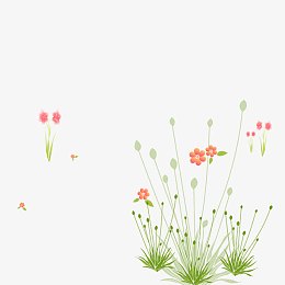鲜花
