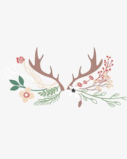 花纹