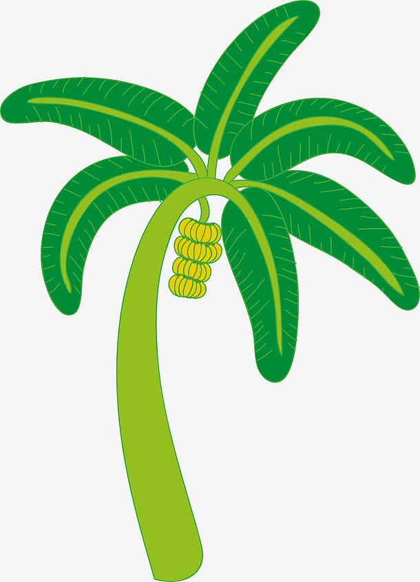 矢量手绘香蕉树