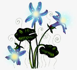 鲜花