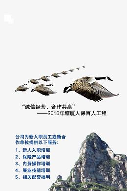 强强合作