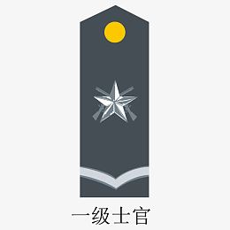 军队一级士官矢量肩章
