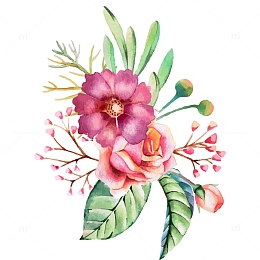 手绘水彩花朵花草装饰图案