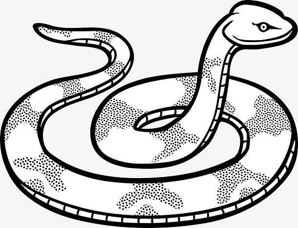 动物世界长小蛇吐舌