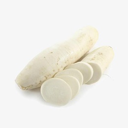 有机白萝卜