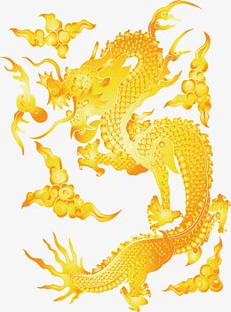 矢量金龙