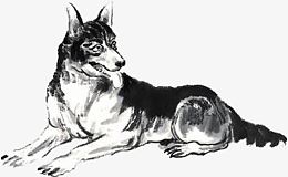 狗