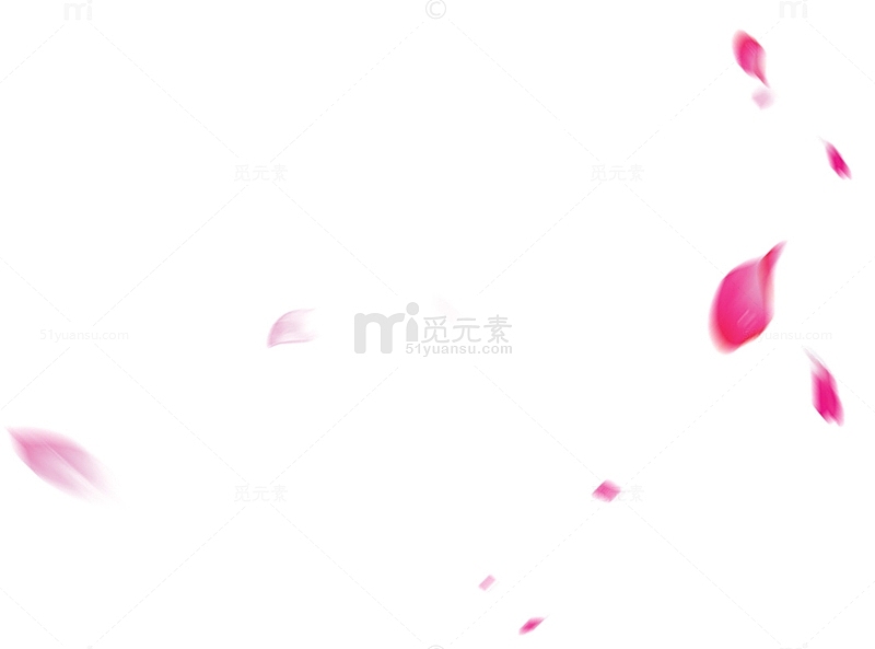 飘落的粉色花瓣