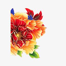 花开富贵