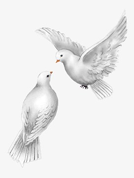 可爱鸽子png剪纸白鸽图片png女孩和和平鸽png手绘鸽子背景设计png白色
