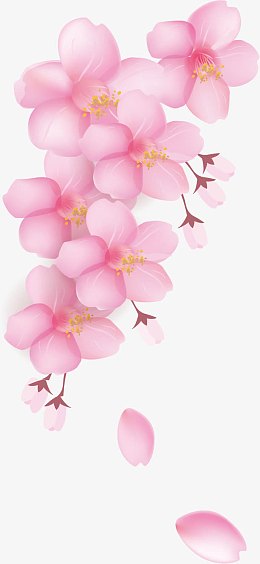 pngpng飘落樱花免抠素材pngpng樱花花边花瓣素材pngpng樱花花瓣元素