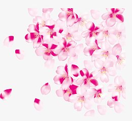 樱花背景底纹