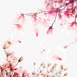 樱花元素