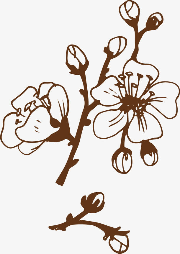 手绘樱花花瓣图片