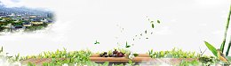 中国风茶叶banner