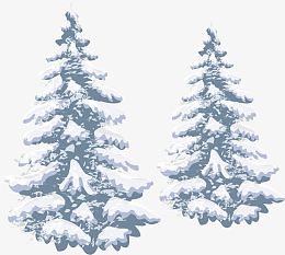 松树大雪