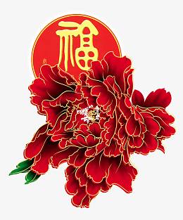 金边福牡丹