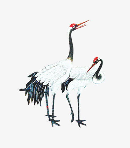 关键词 : 中国风鹤,中国风鸟,两只鹤,仙鹤,漂亮的鸟,站立着的鸟[声明]