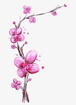 几朵梅花粉色