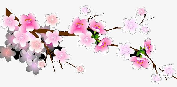粉白色梅花树枝素材
